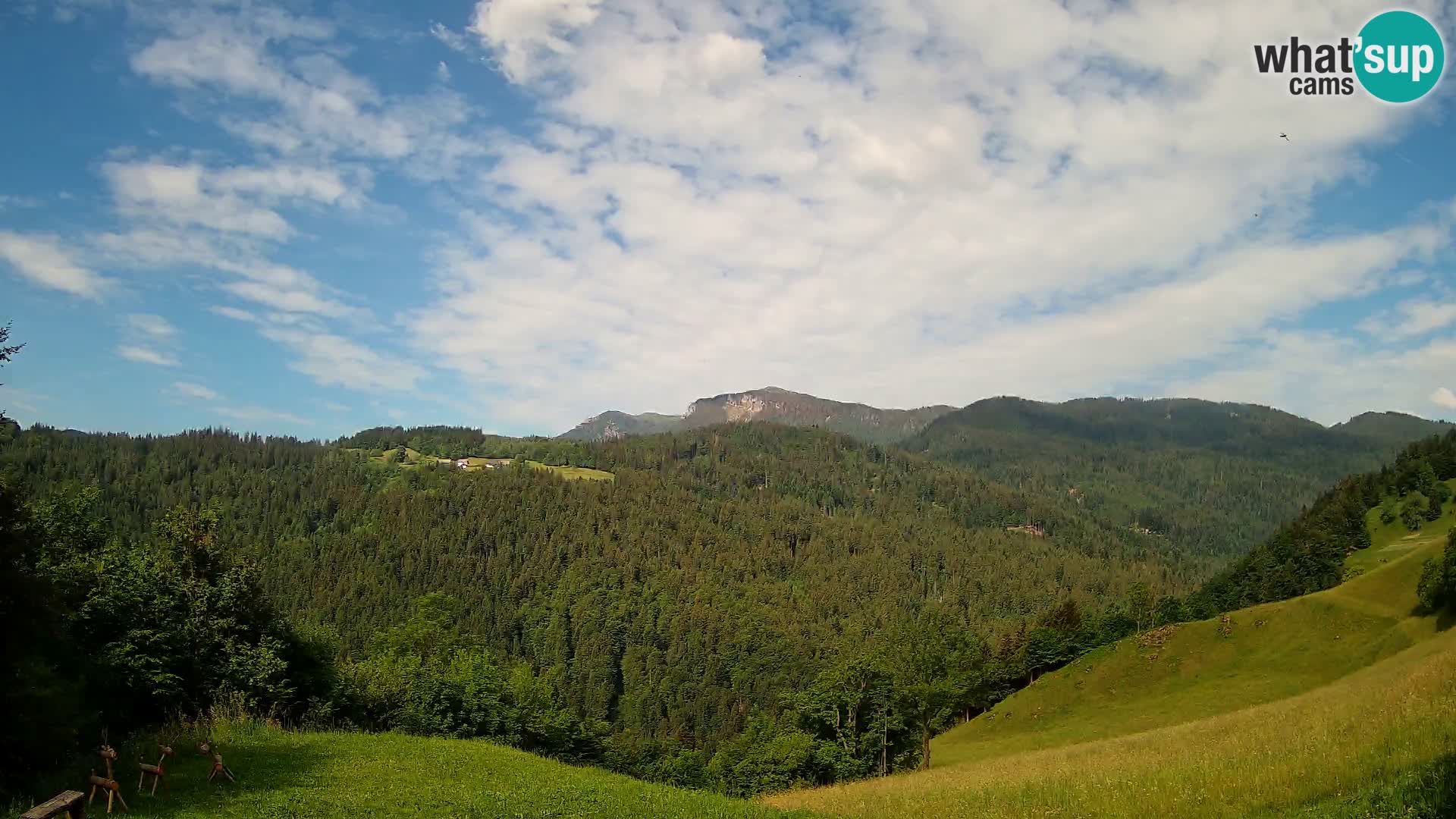 Webcam Brunarica Dražgoše – Live View of Ratitovec (1666 m)