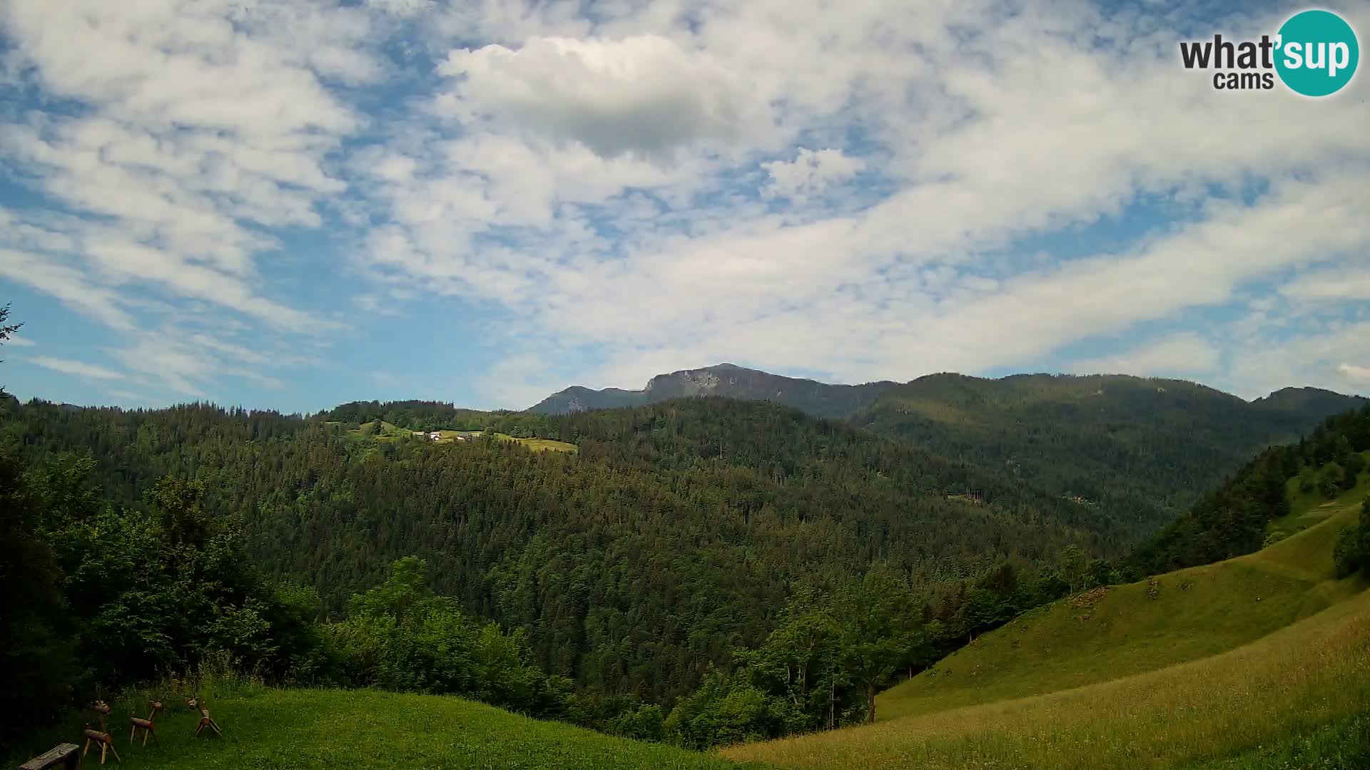 Webcam Brunarica Dražgoše – Live View of Ratitovec (1666 m)