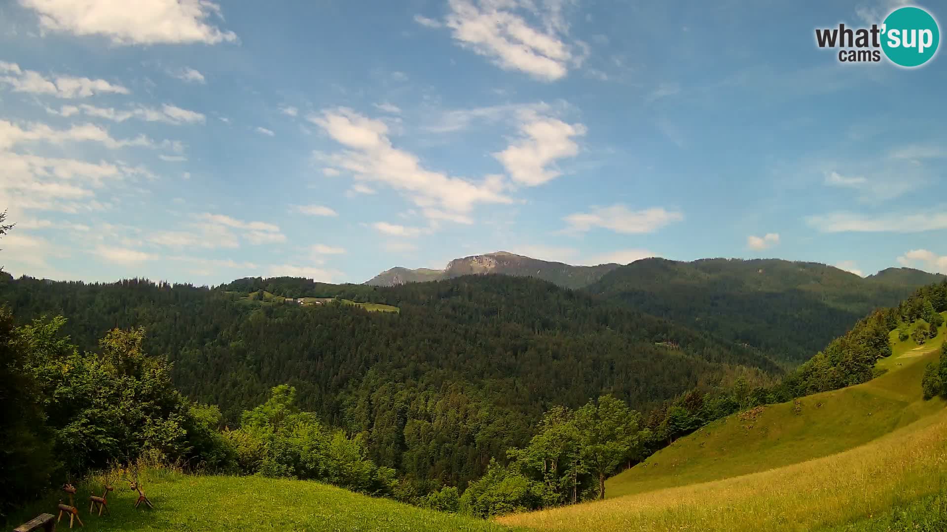 Webcam Brunarica Dražgoše – Live View of Ratitovec (1666 m)