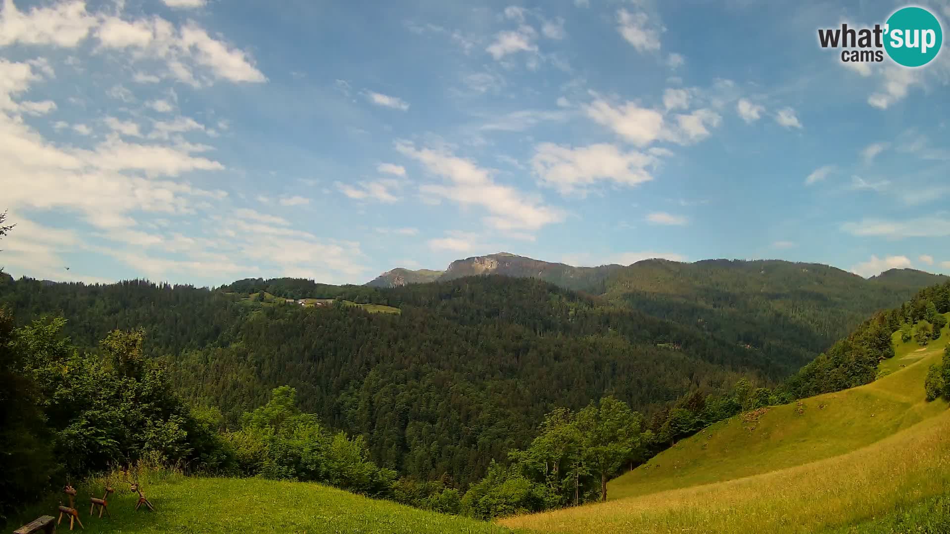 Webcam Brunarica Dražgoše – Live View of Ratitovec (1666 m)