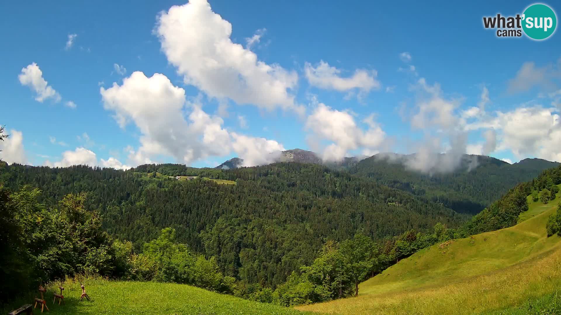 Webcam Brunarica Dražgoše – Live View of Ratitovec (1666 m)