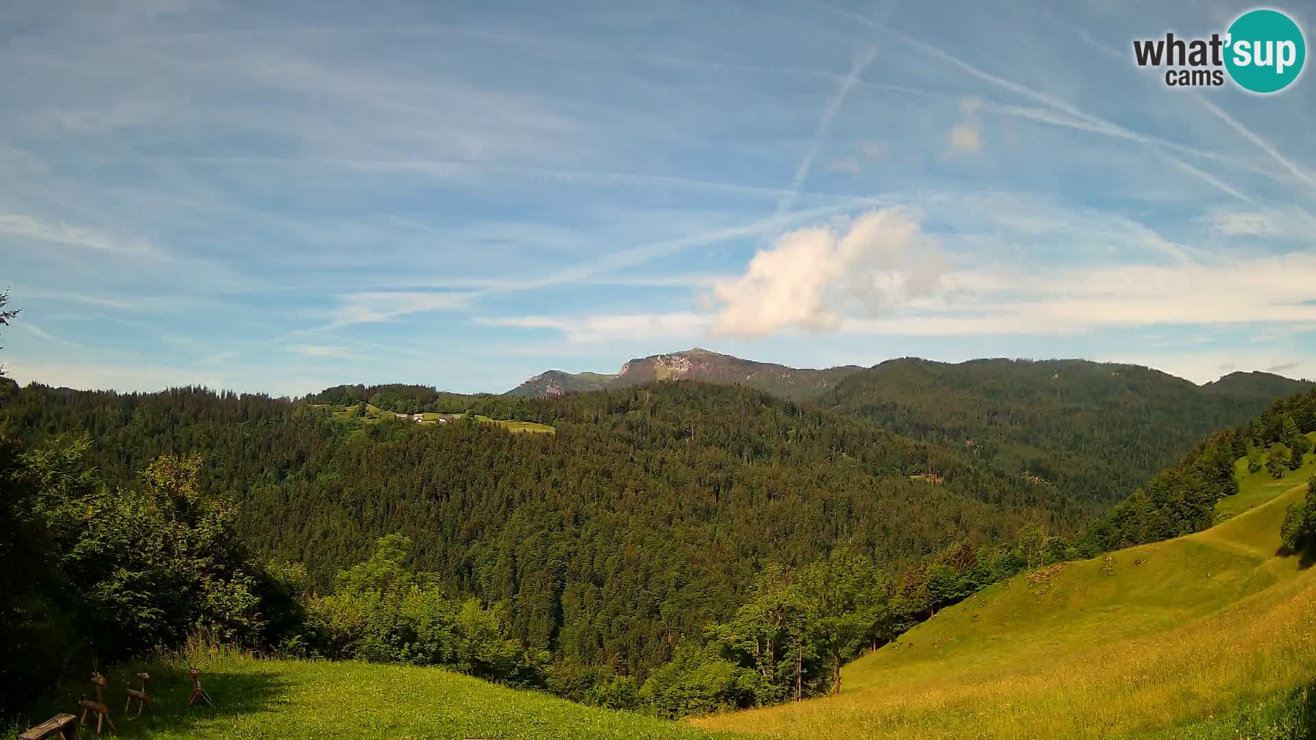 Web kamera Brunarica Dražgoše – Pogled uživo na Ratitovec (1666 m)