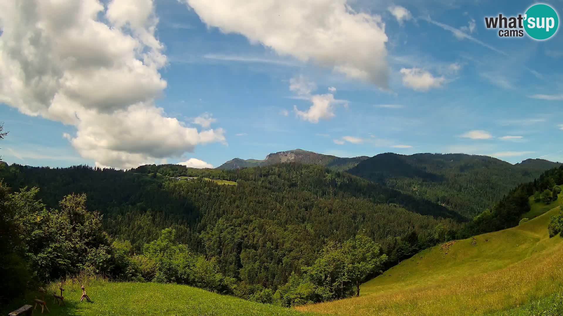 Webcam Brunarica Dražgoše – Live View of Ratitovec (1666 m)