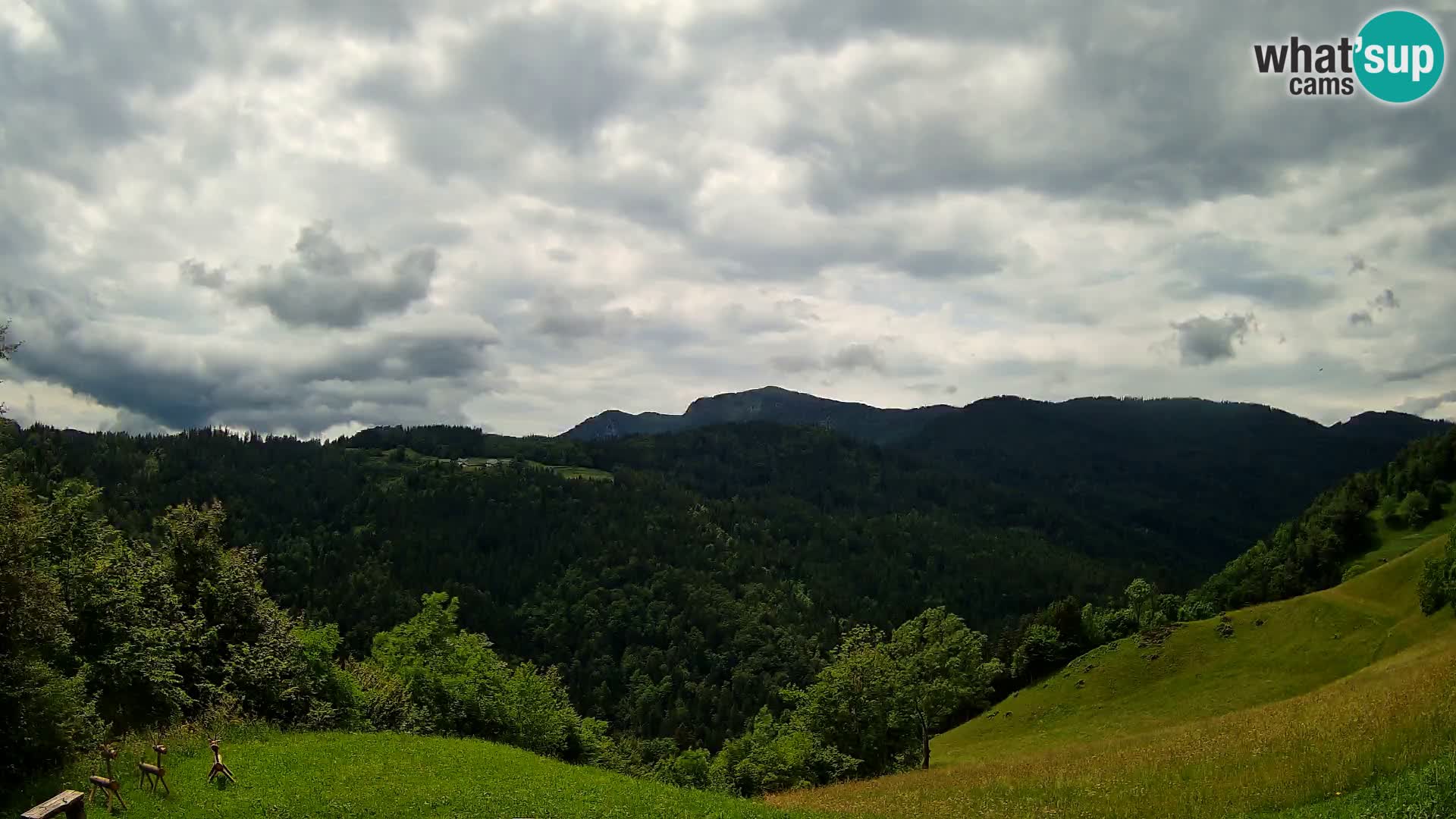 Webcam Brunarica Dražgoše – Live View of Ratitovec (1666 m)