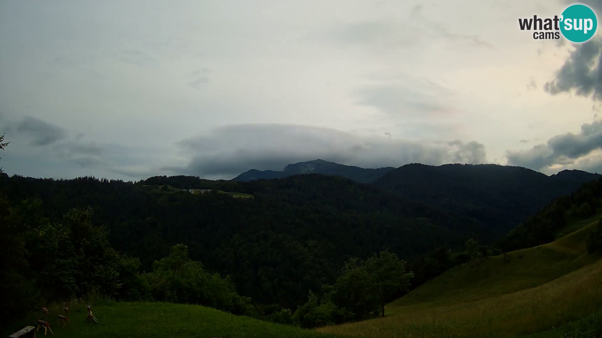 Webcam Brunarica Dražgoše – Live View of Ratitovec (1666 m)