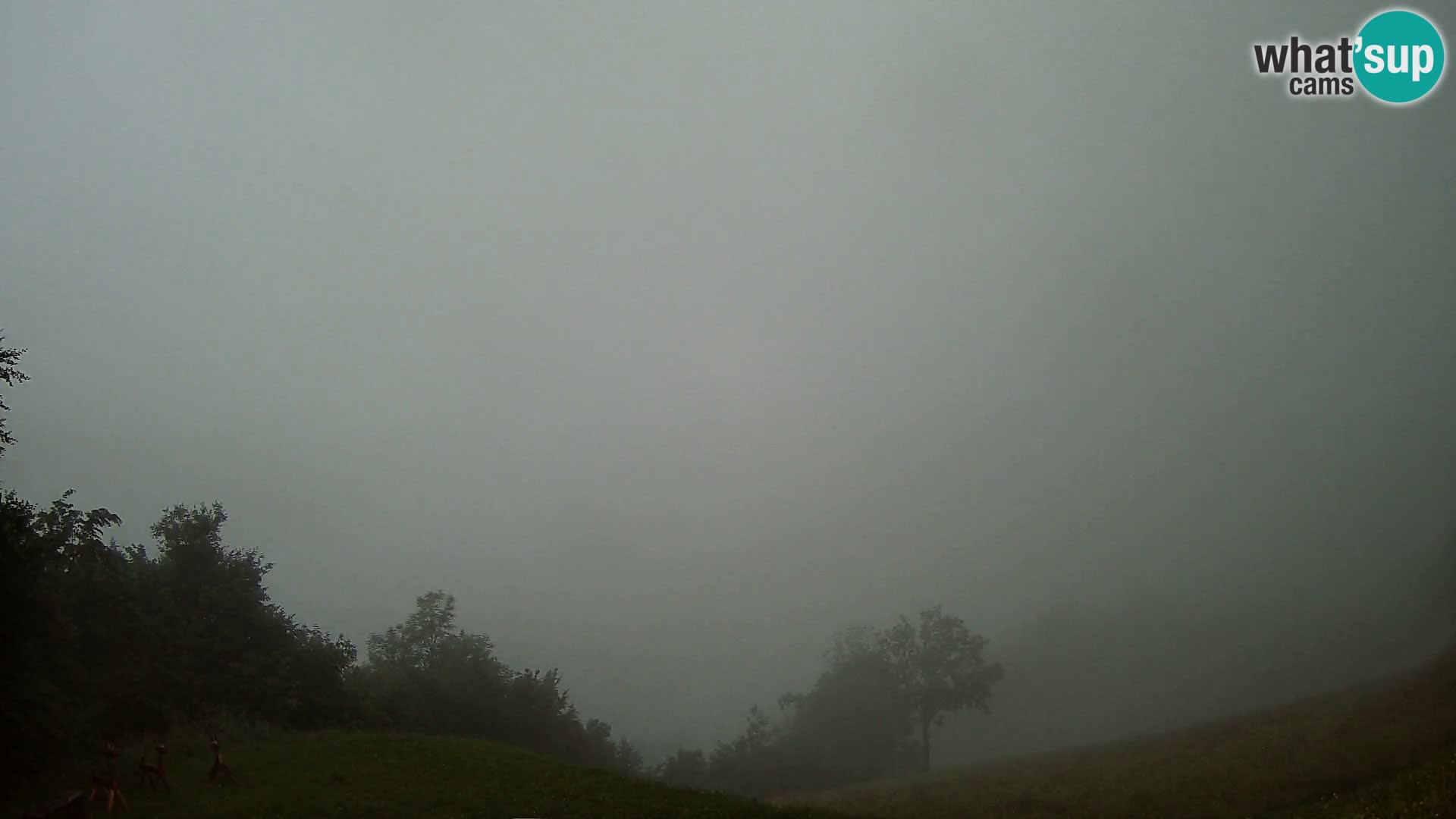 Webcam Brunarica Dražgoše – Live View of Ratitovec (1666 m)
