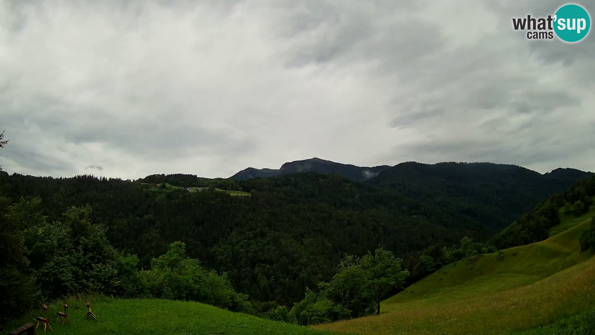 Webcam Brunarica Dražgoše – Live View of Ratitovec (1666 m)