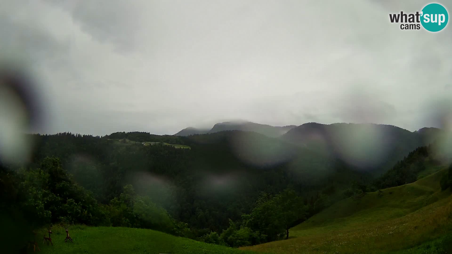 Webcam Brunarica Dražgoše – Live View of Ratitovec (1666 m)