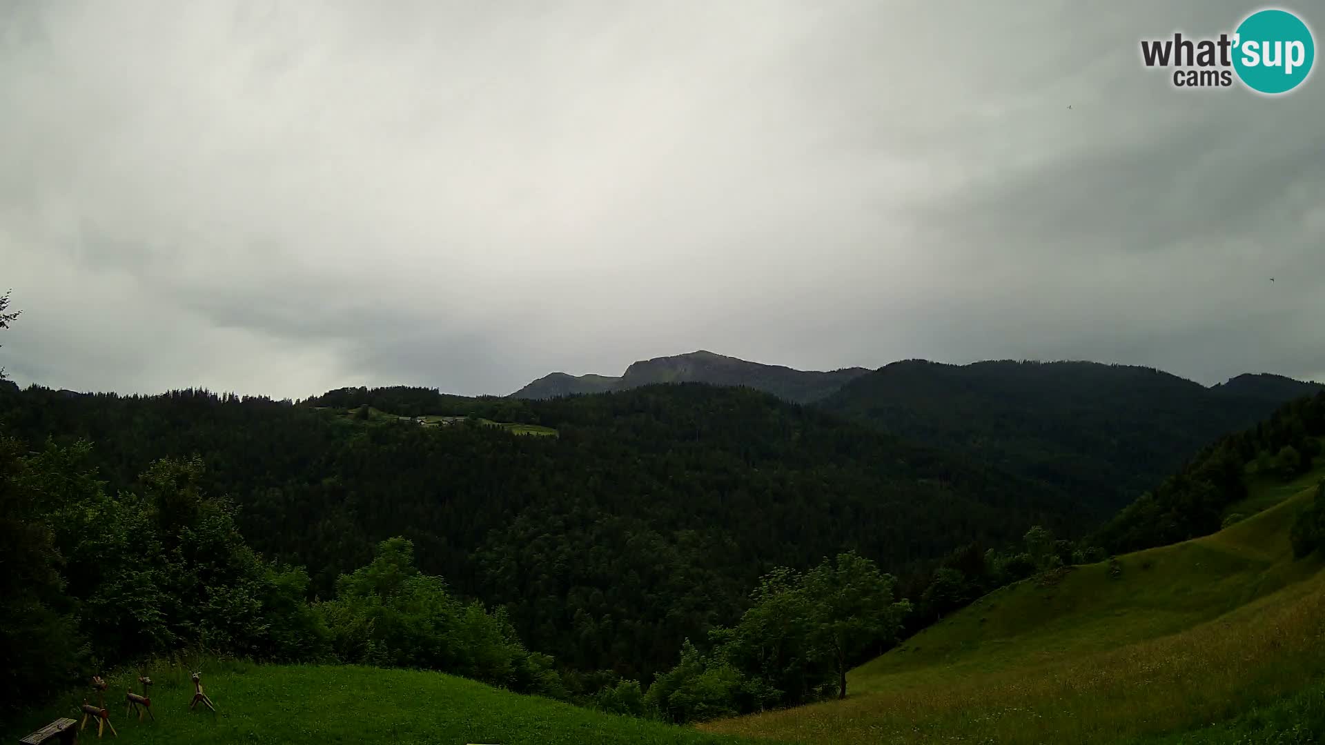 Webcam Brunarica Dražgoše – Liveblick auf Ratitovec (1666 m)