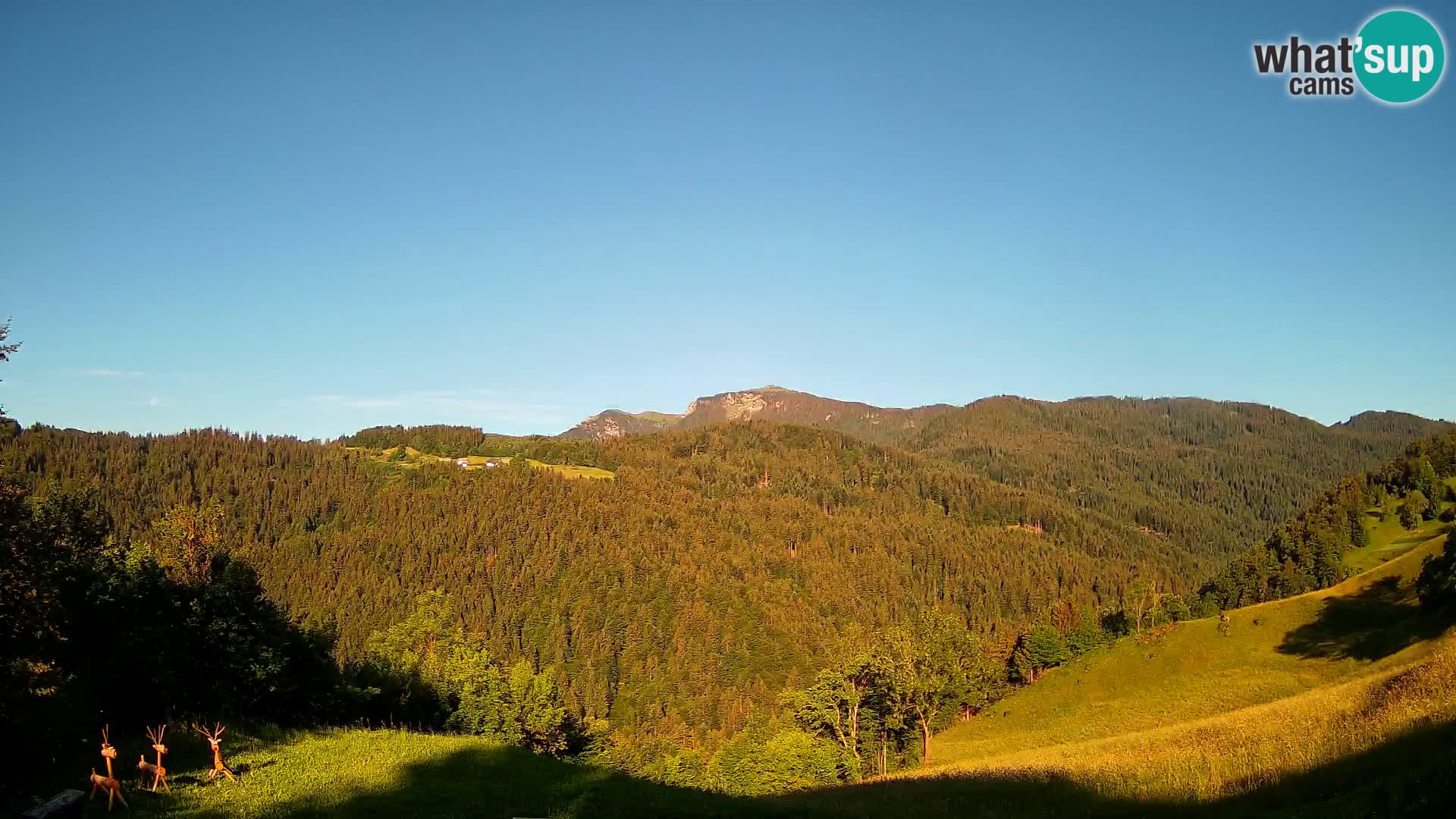 Webcam Brunarica Dražgoše – Live View of Ratitovec (1666 m)