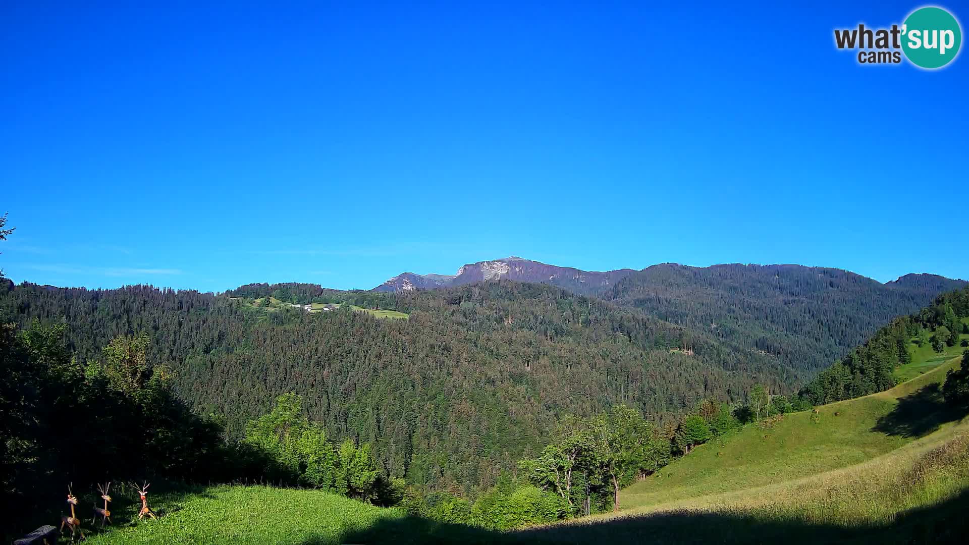 Webcam Brunarica Dražgoše – Live View of Ratitovec (1666 m)