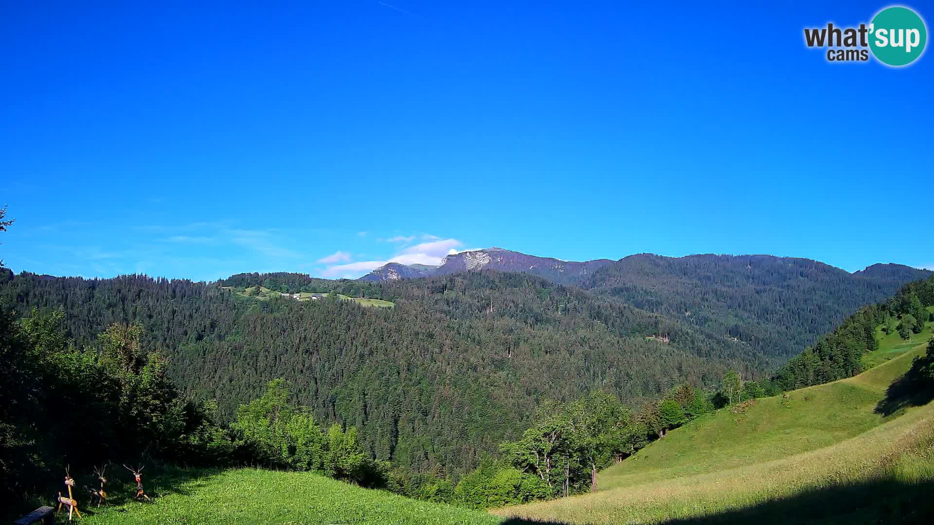 Webcam Brunarica Dražgoše – Live View of Ratitovec (1666 m)