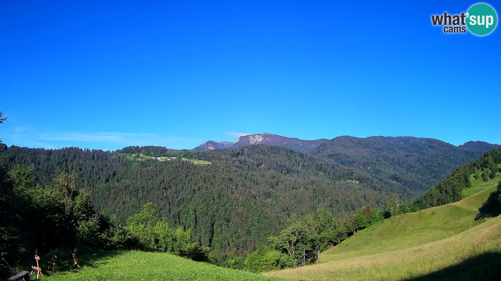 Webcam Brunarica Dražgoše – Live View of Ratitovec (1666 m)