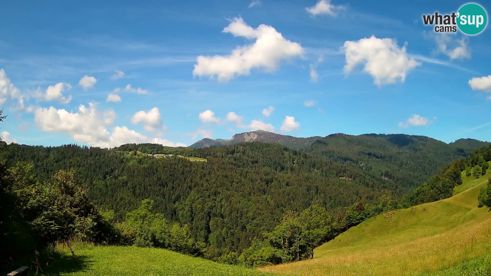 Webcam Brunarica Dražgoše – Liveblick auf Ratitovec (1666 m)