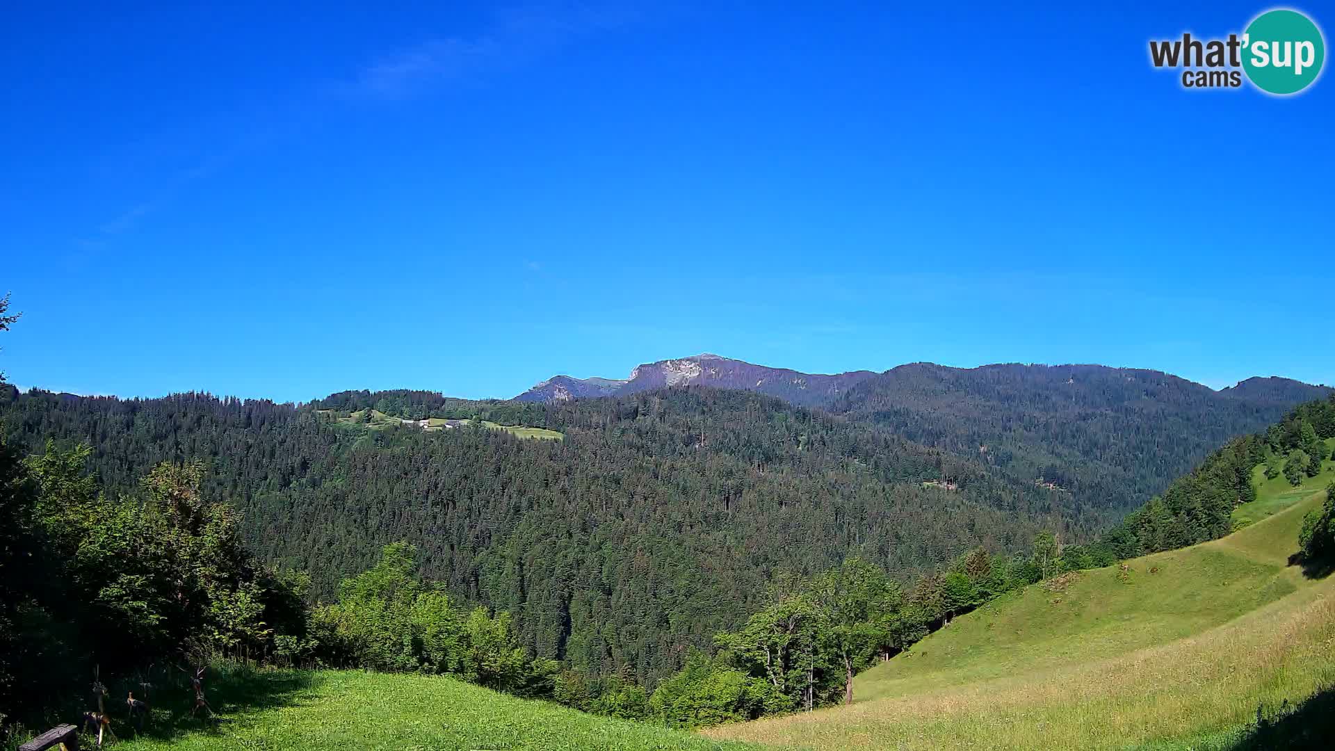 Web kamera Brunarica Dražgoše – Pogled uživo na Ratitovec (1666 m)