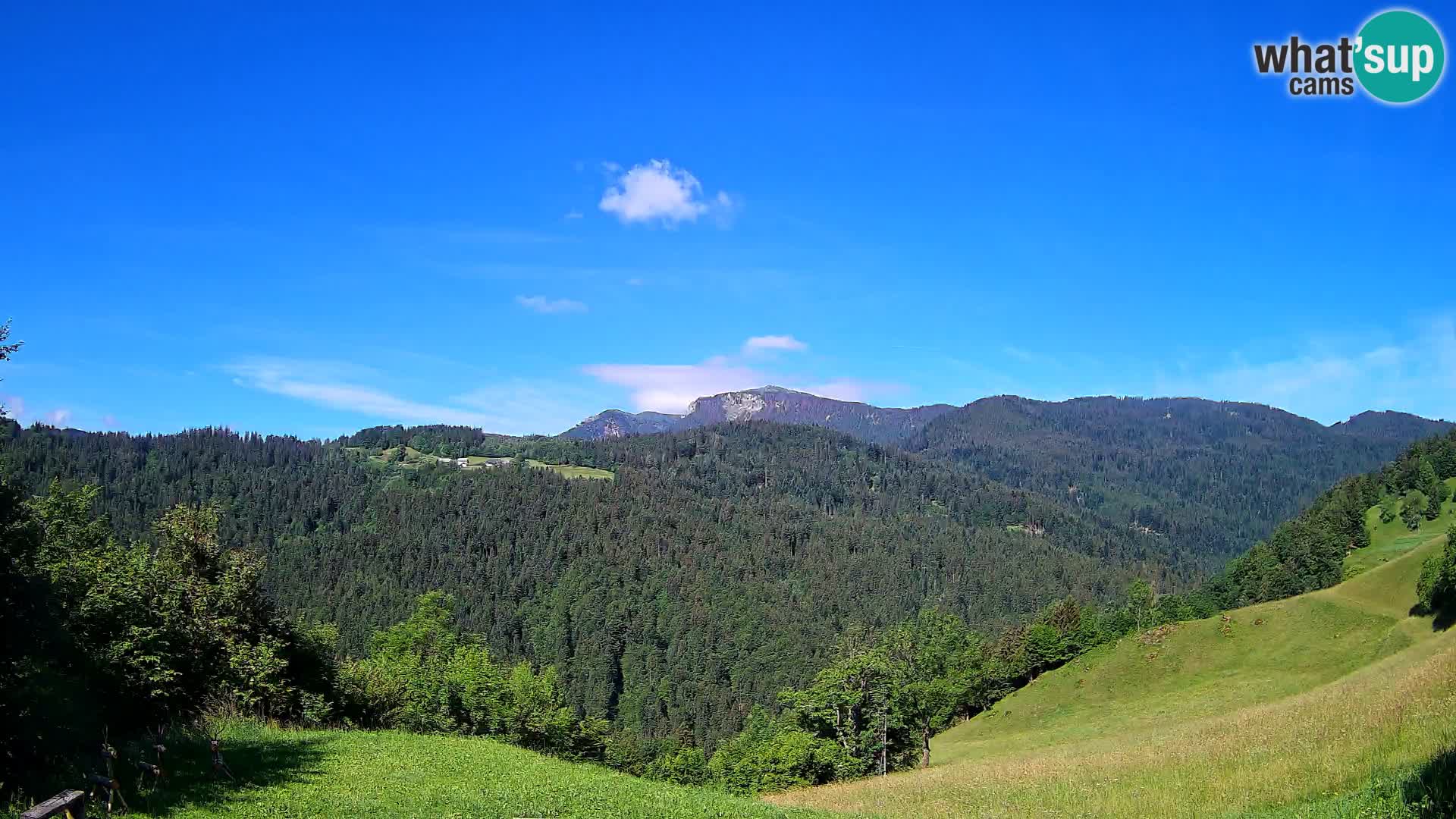 Webcam Brunarica Dražgoše – Live View of Ratitovec (1666 m)