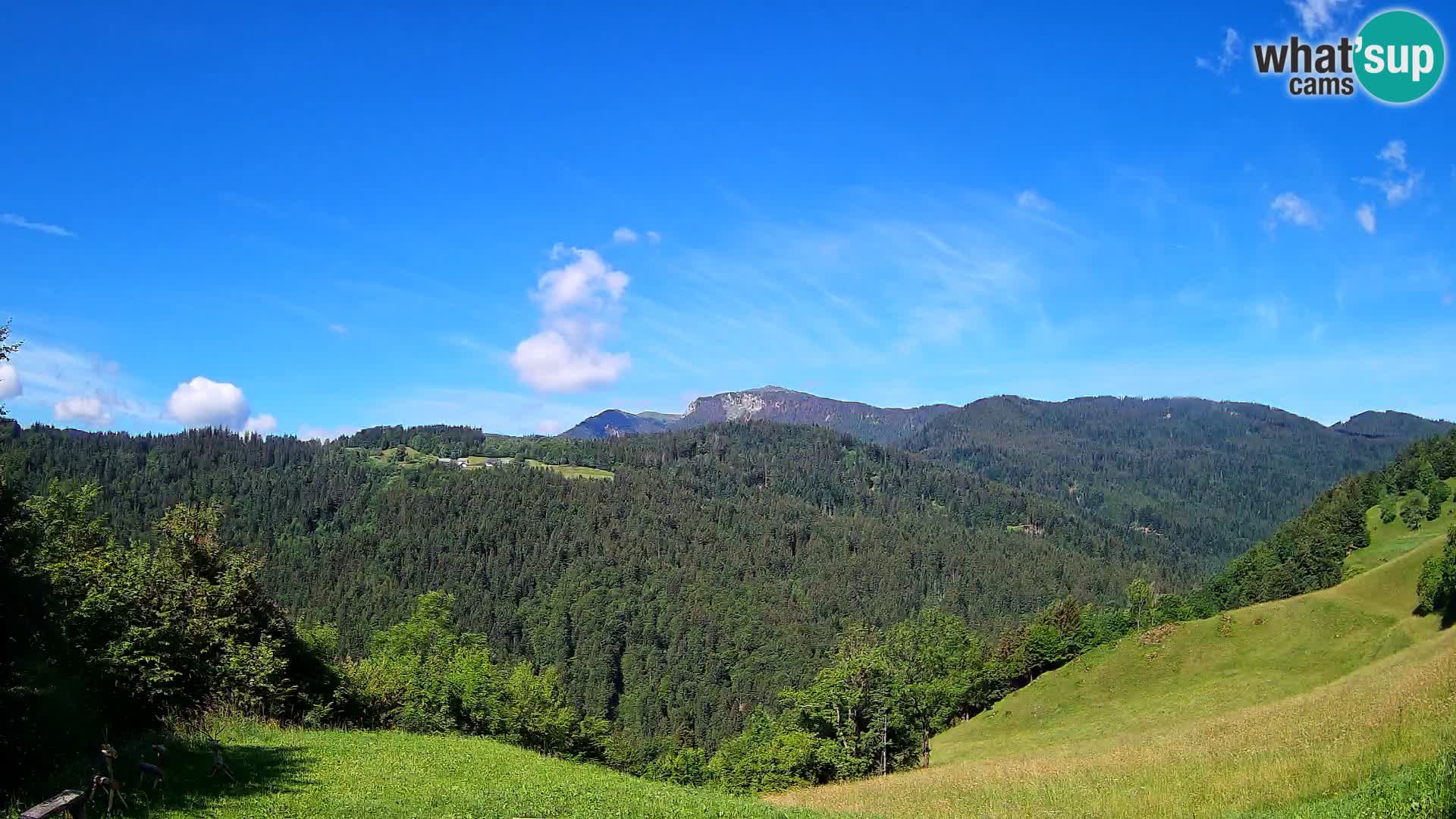 Webcam Brunarica Dražgoše – Live View of Ratitovec (1666 m)