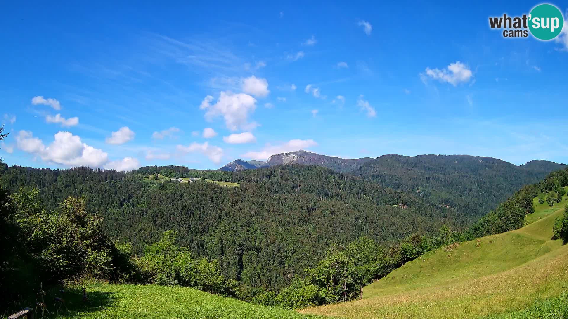Webcam Brunarica Dražgoše – Liveblick auf Ratitovec (1666 m)