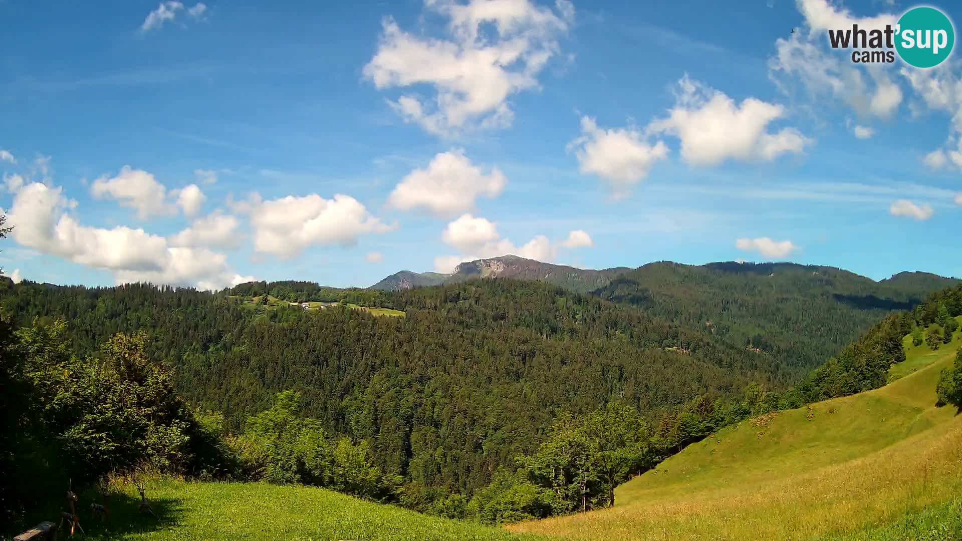 Webcam Brunarica Dražgoše – Liveblick auf Ratitovec (1666 m)