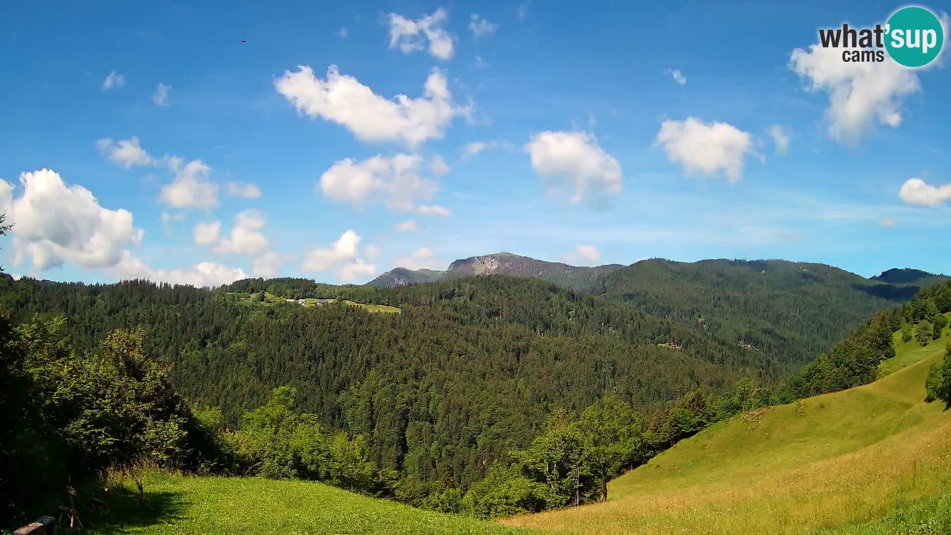 Spletna kamera Brunarica Dražgoše – Pogled v živo na Ratitovec (1666 m)