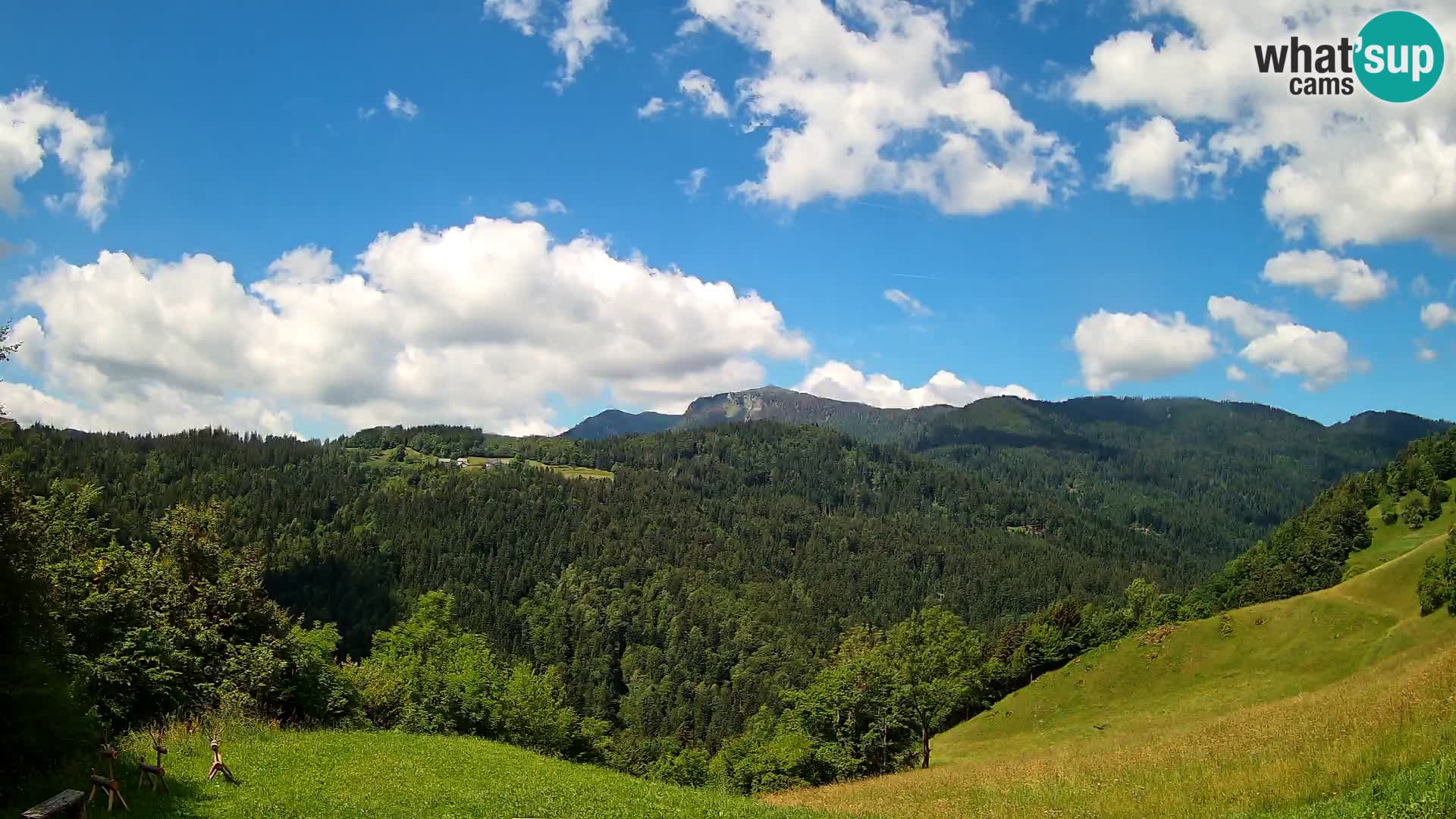 Webcam Brunarica Dražgoše – Live View of Ratitovec (1666 m)