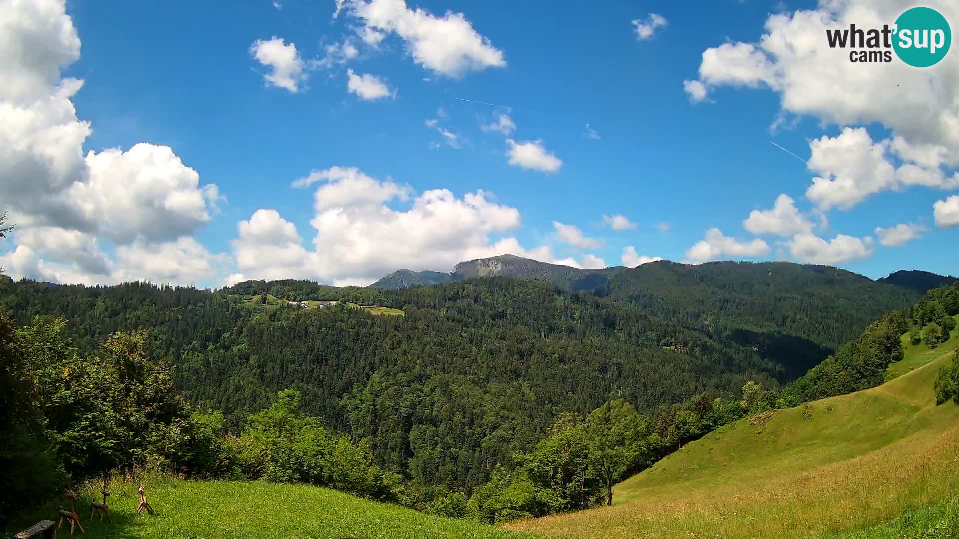 Webcam Brunarica Dražgoše – Vista live sul Ratitovec (1666 m)