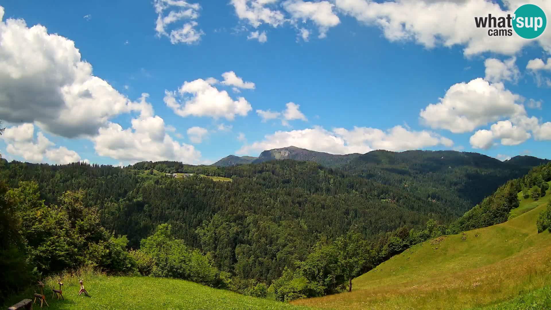 Webcam Brunarica Dražgoše – Liveblick auf Ratitovec (1666 m)