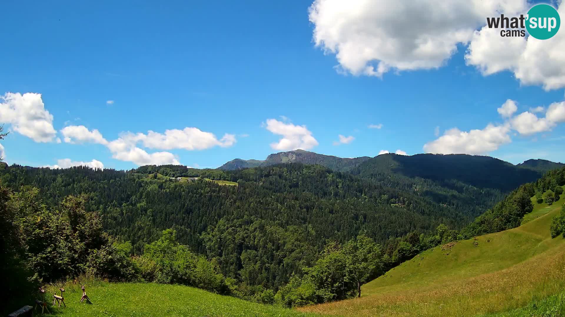 Web kamera Brunarica Dražgoše – Pogled uživo na Ratitovec (1666 m)