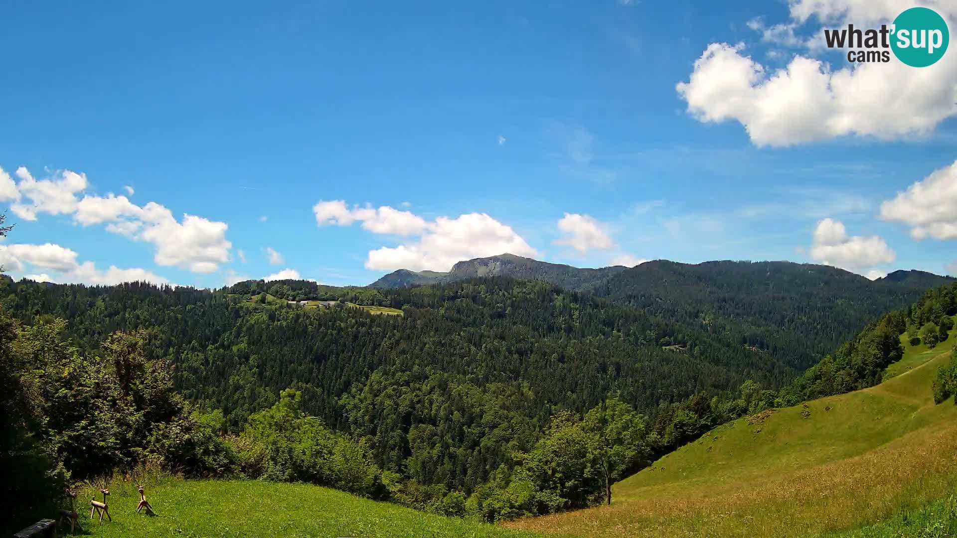 Spletna kamera Brunarica Dražgoše – Pogled v živo na Ratitovec (1666 m)