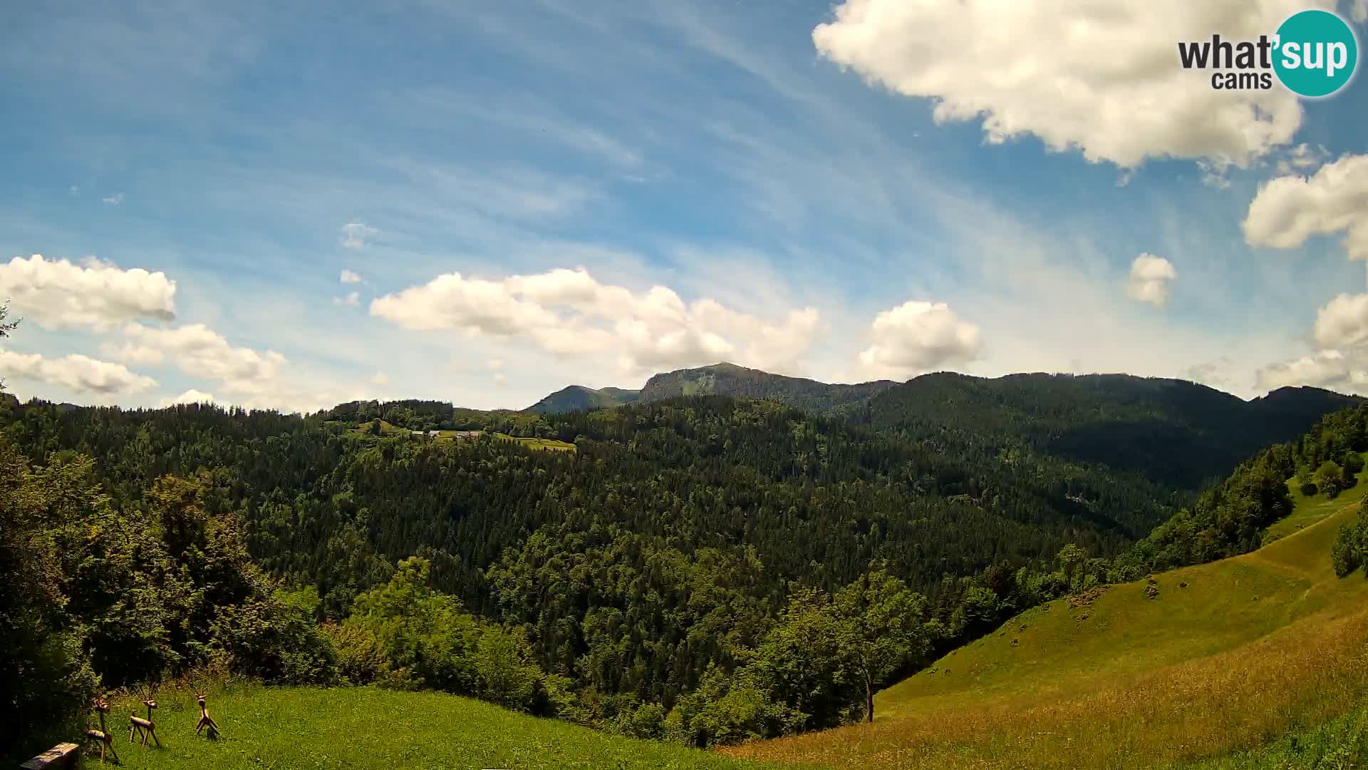Web kamera Brunarica Dražgoše – Pogled uživo na Ratitovec (1666 m)