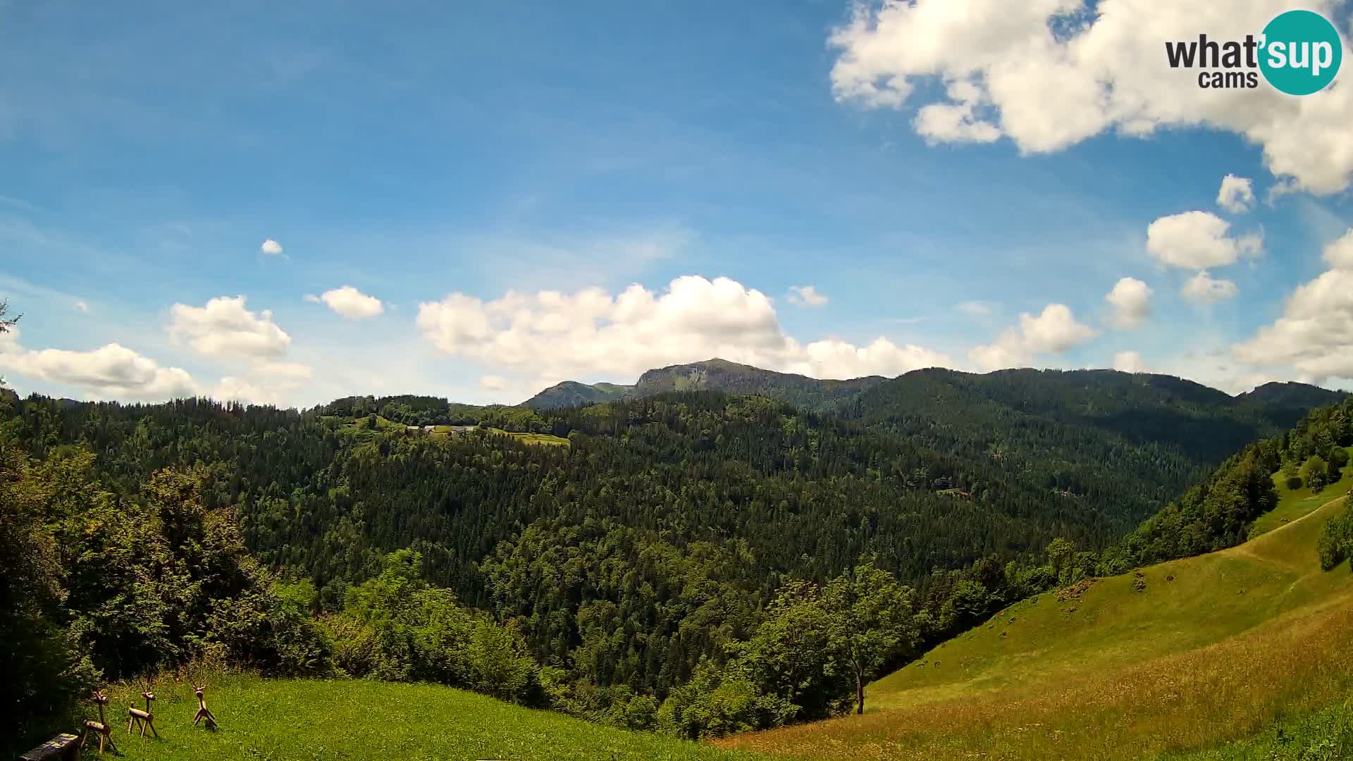 Spletna kamera Brunarica Dražgoše – Pogled v živo na Ratitovec (1666 m)