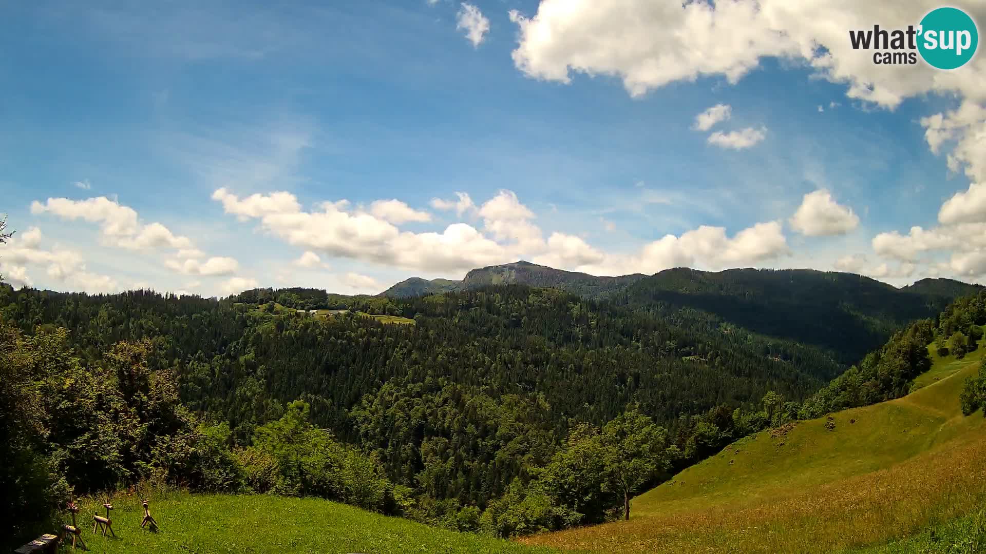 Webcam Brunarica Dražgoše – Live View of Ratitovec (1666 m)