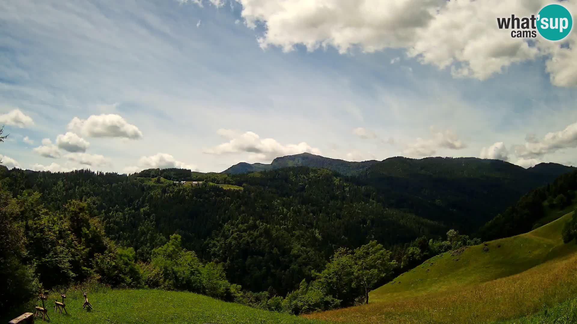 Webcam Brunarica Dražgoše – Live View of Ratitovec (1666 m)