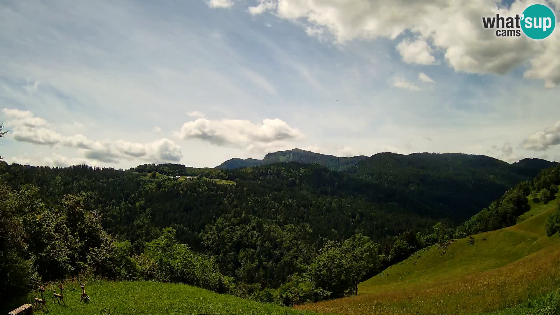 Webcam Brunarica Dražgoše – Live View of Ratitovec (1666 m)