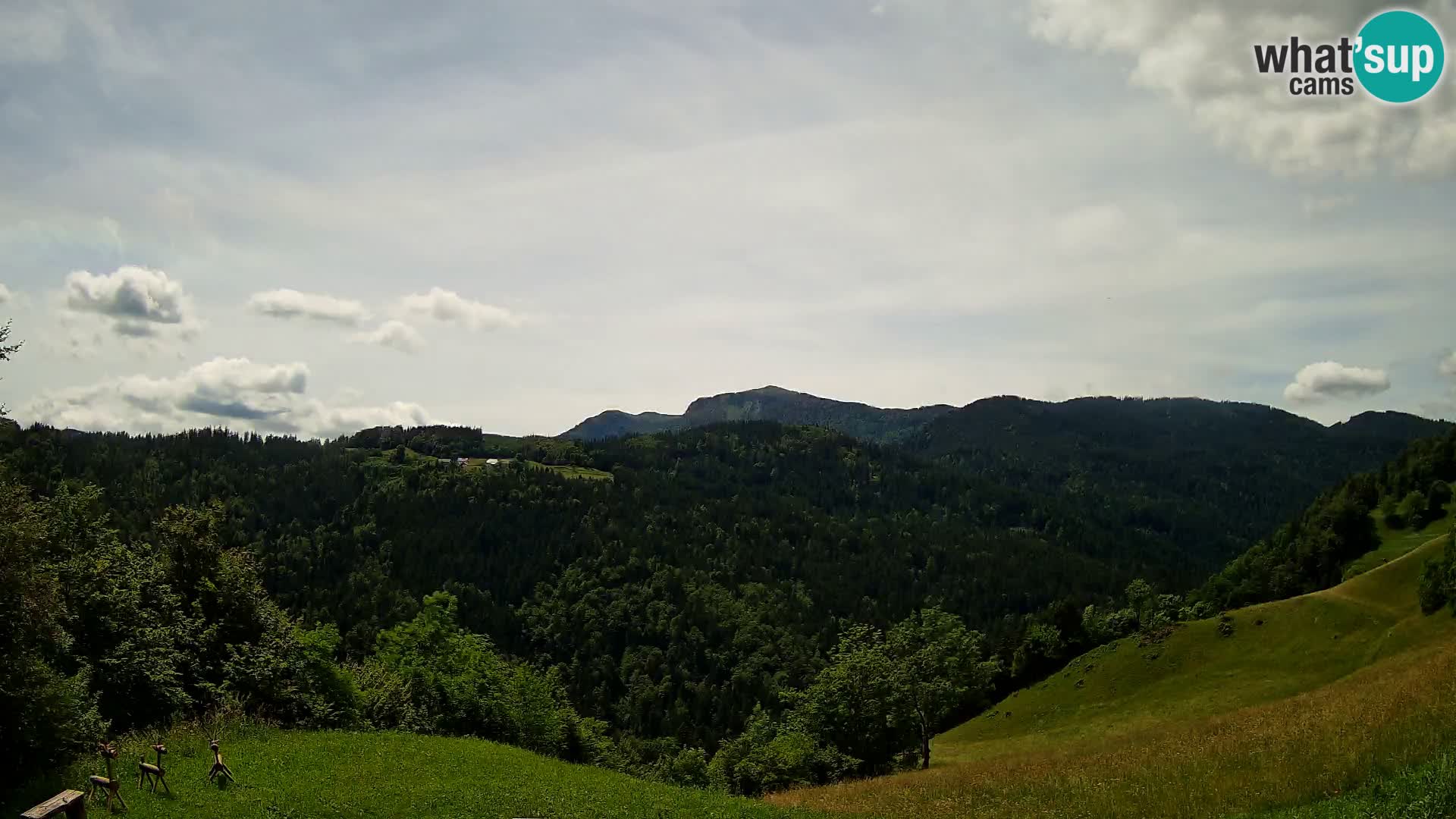 Webcam Brunarica Dražgoše – Live View of Ratitovec (1666 m)