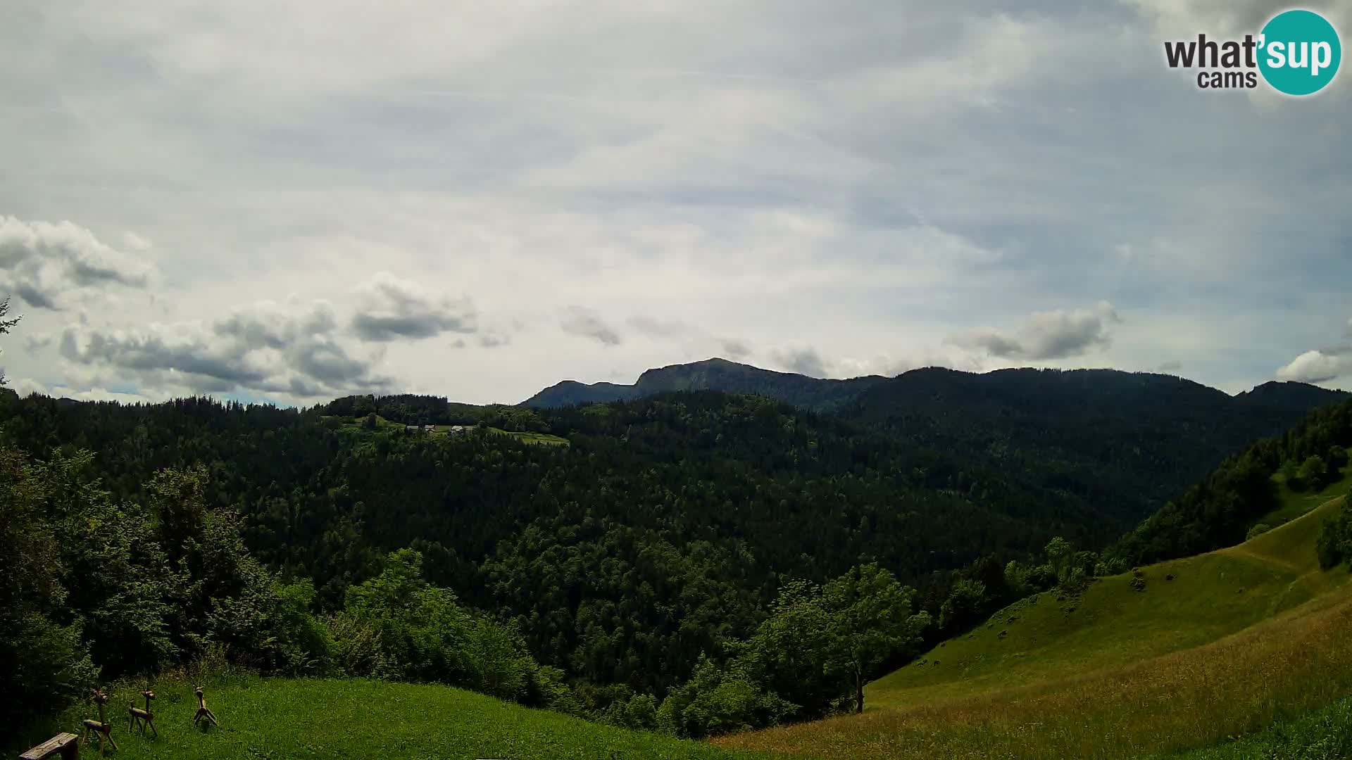 Webcam Brunarica Dražgoše – Live View of Ratitovec (1666 m)