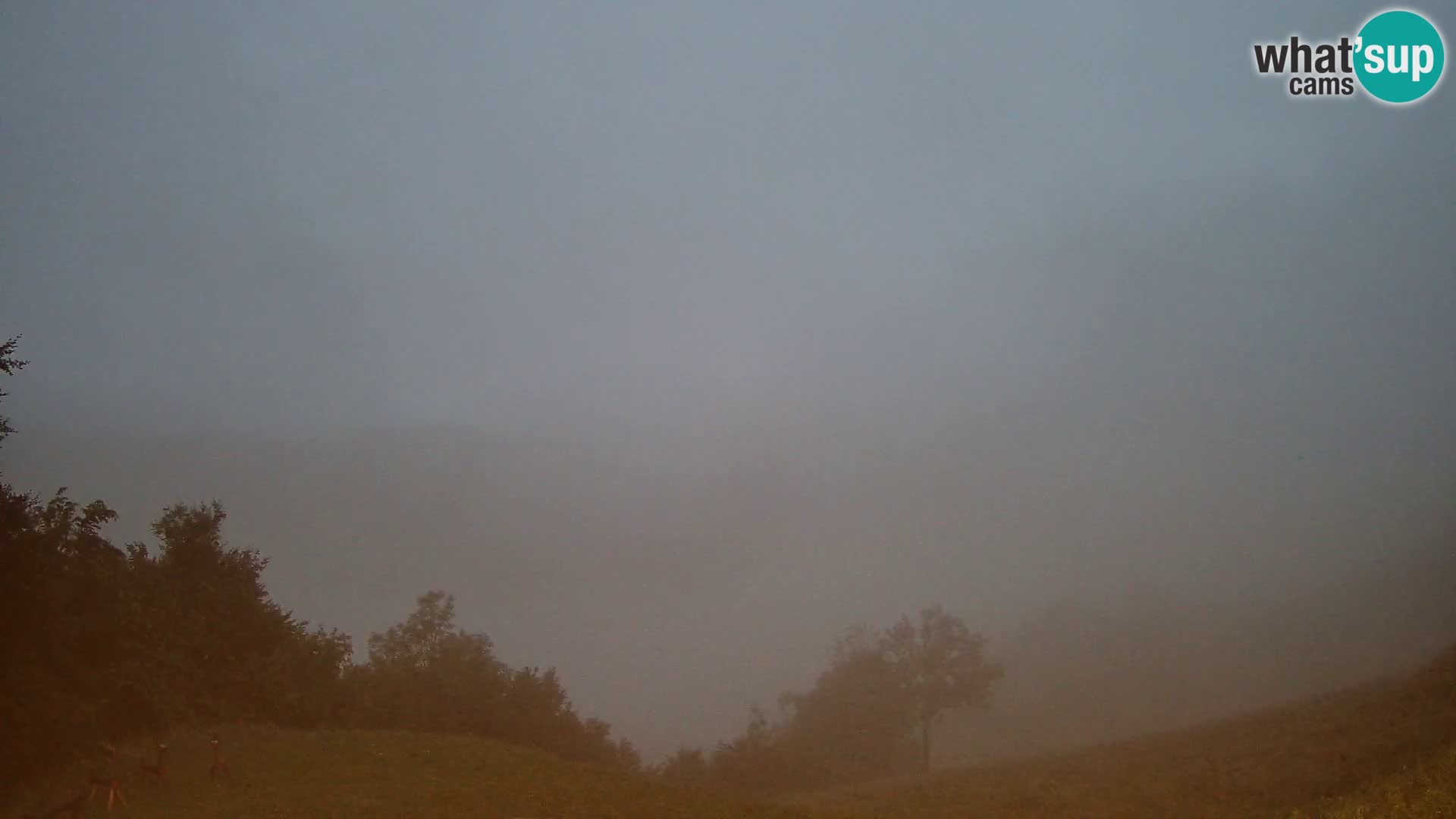 Webcam Brunarica Dražgoše – Live View of Ratitovec (1666 m)