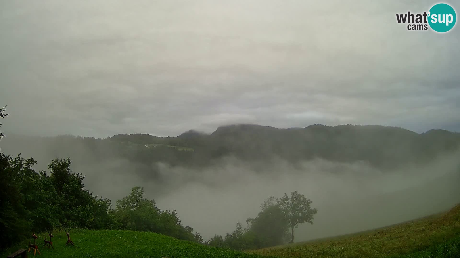 Webcam Brunarica Dražgoše – Live View of Ratitovec (1666 m)