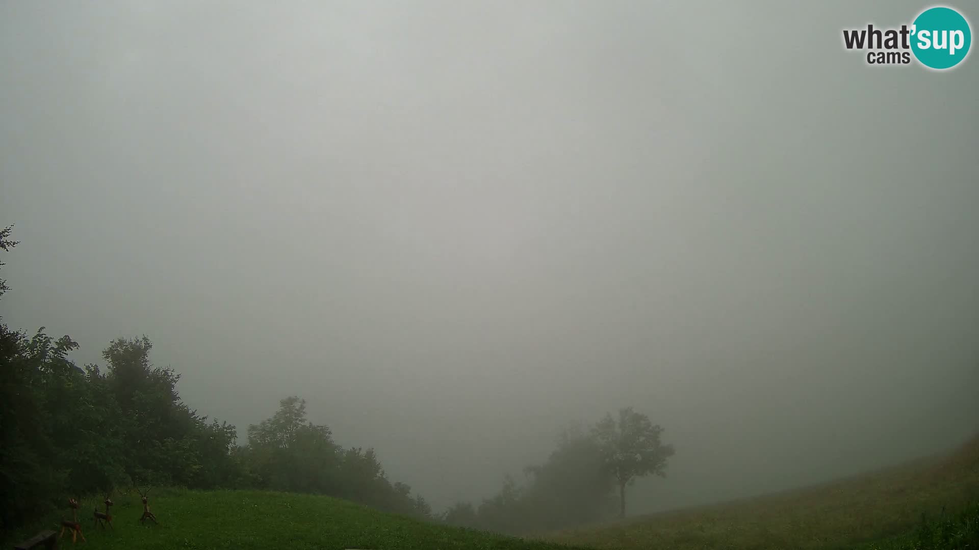 Webcam Brunarica Dražgoše – Live View of Ratitovec (1666 m)