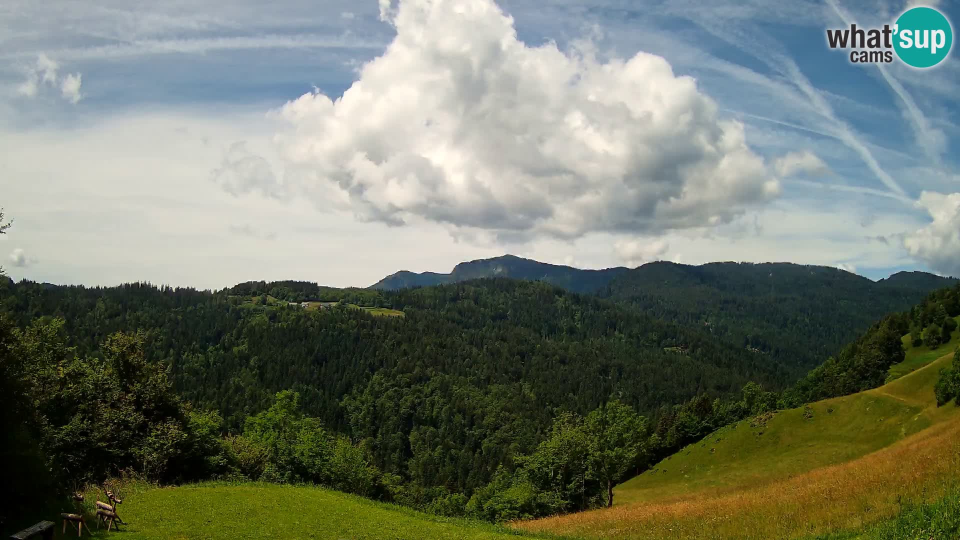 Webcam Brunarica Dražgoše – Live View of Ratitovec (1666 m)