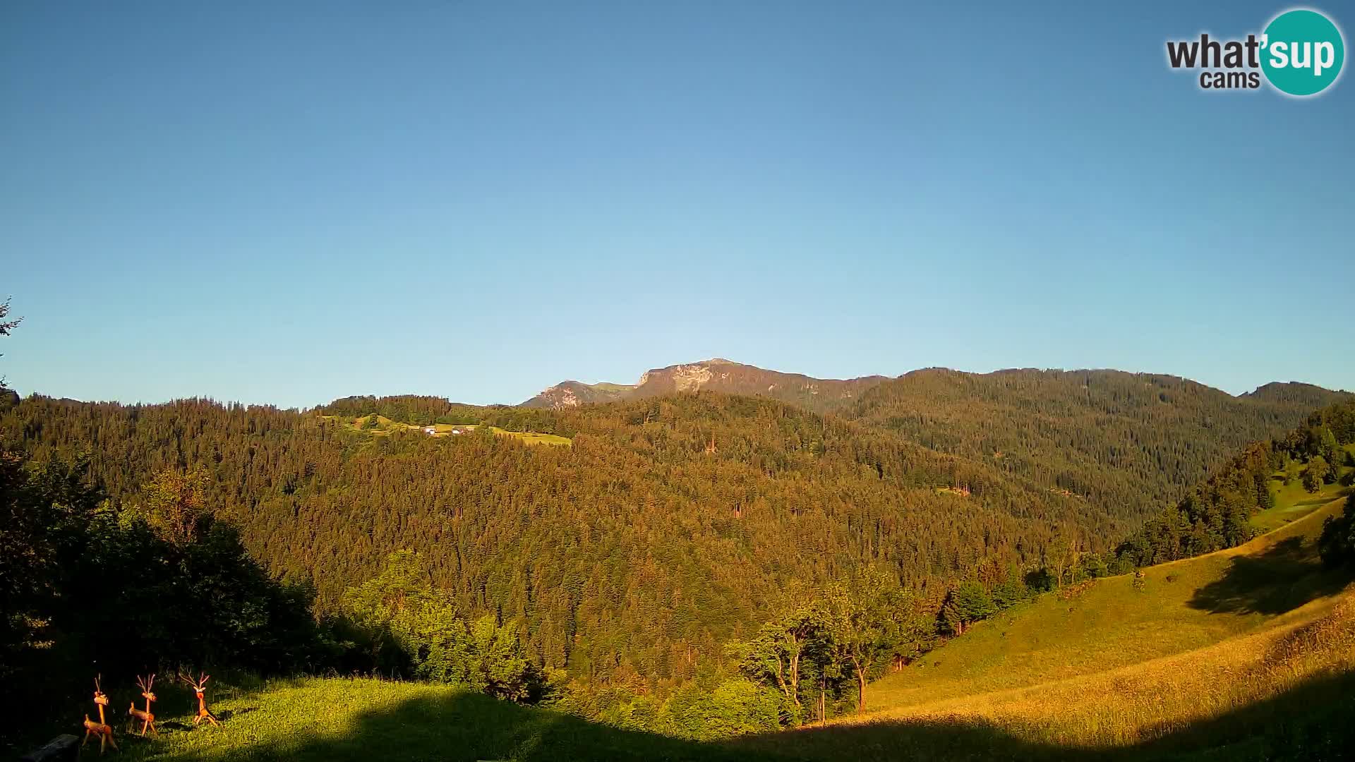 Webcam Brunarica Dražgoše – Live View of Ratitovec (1666 m)