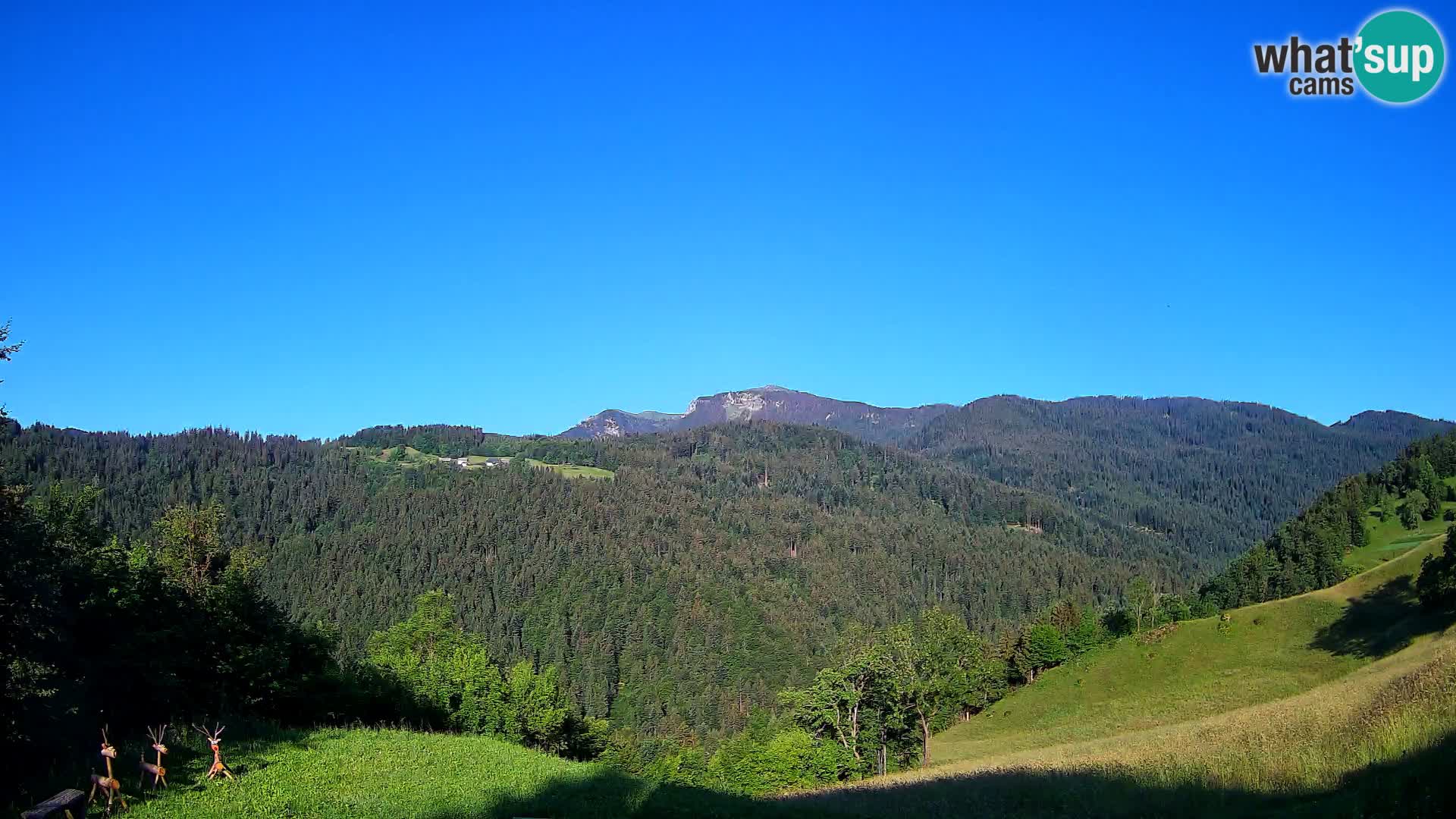 Webcam Brunarica Dražgoše – Live View of Ratitovec (1666 m)