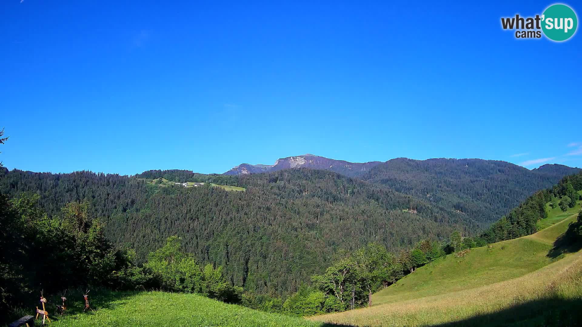 Webcam Brunarica Dražgoše – Live View of Ratitovec (1666 m)