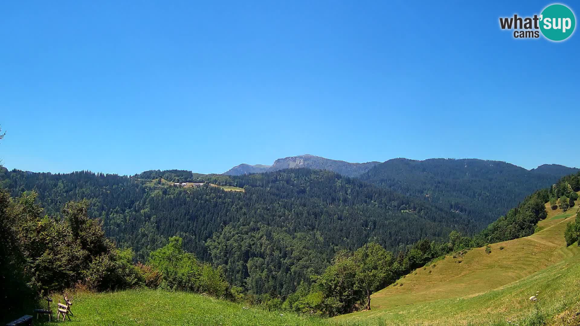 Webcam Brunarica Dražgoše – Live View of Ratitovec (1666 m)