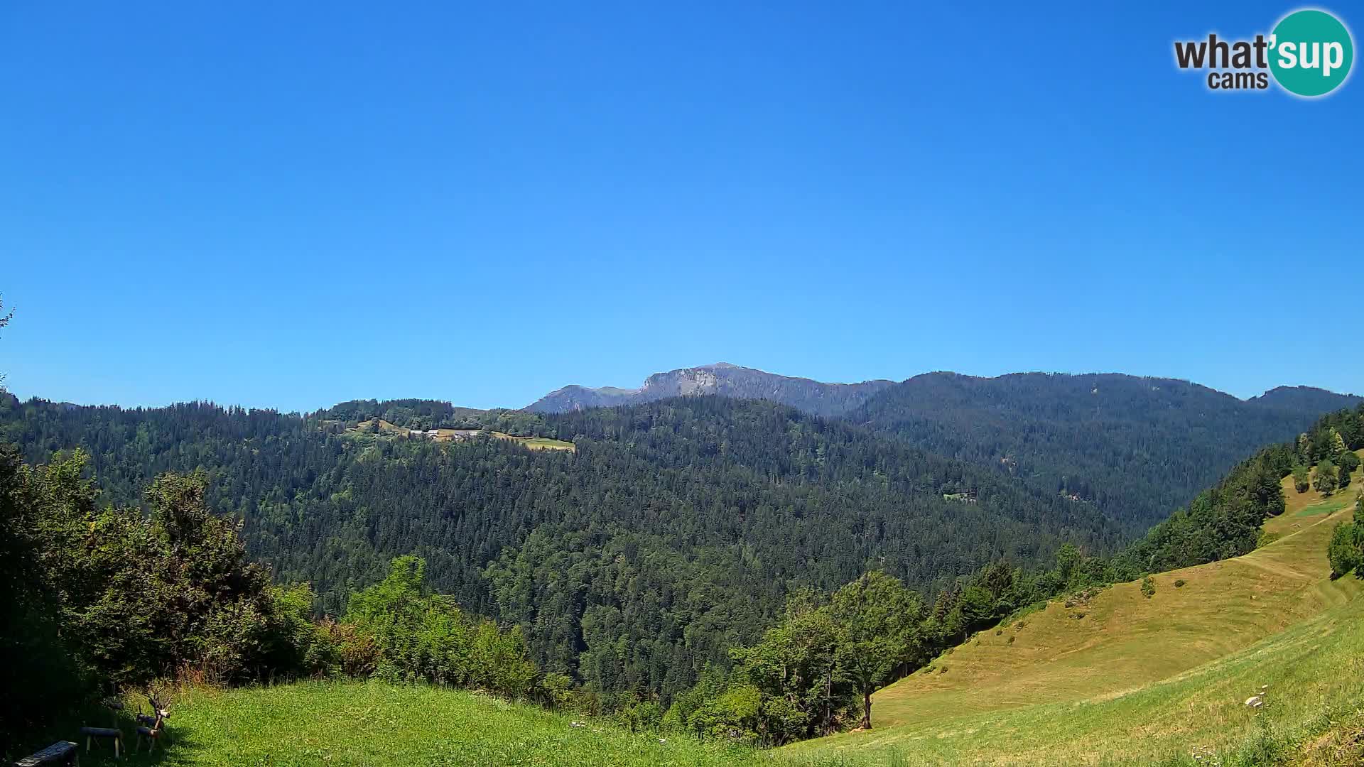 Web kamera Brunarica Dražgoše – Pogled uživo na Ratitovec (1666 m)