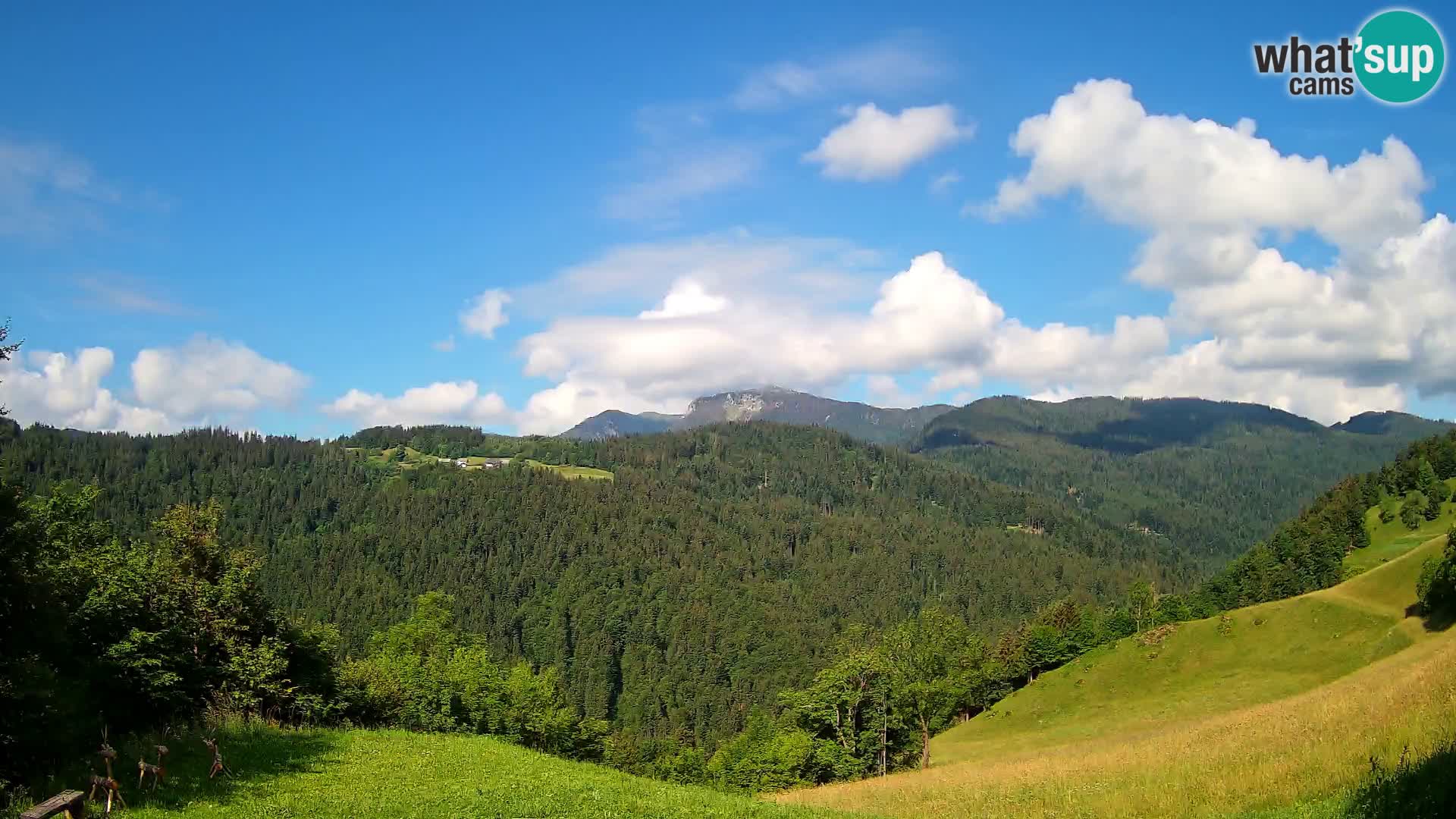 Webcam Brunarica Dražgoše – Live View of Ratitovec (1666 m)