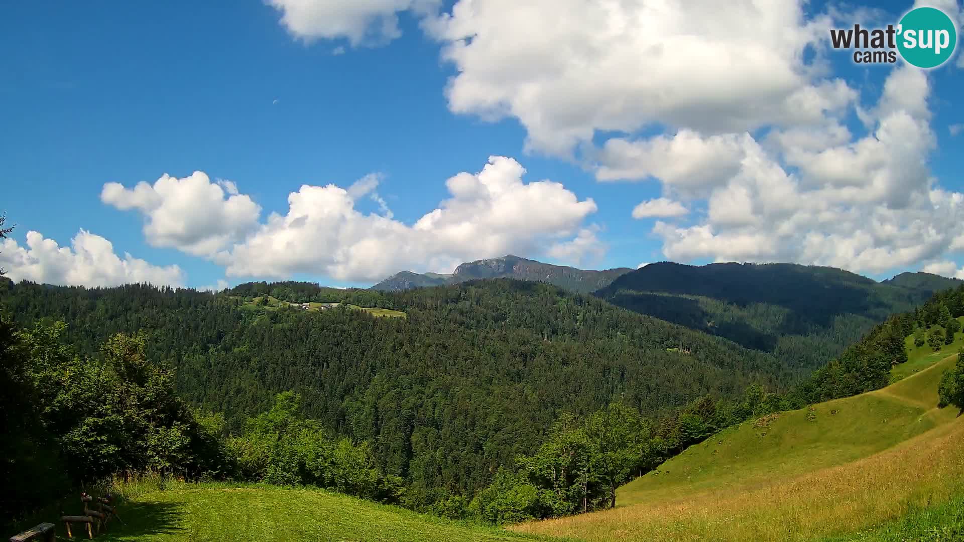 Webcam Brunarica Dražgoše – Live View of Ratitovec (1666 m)