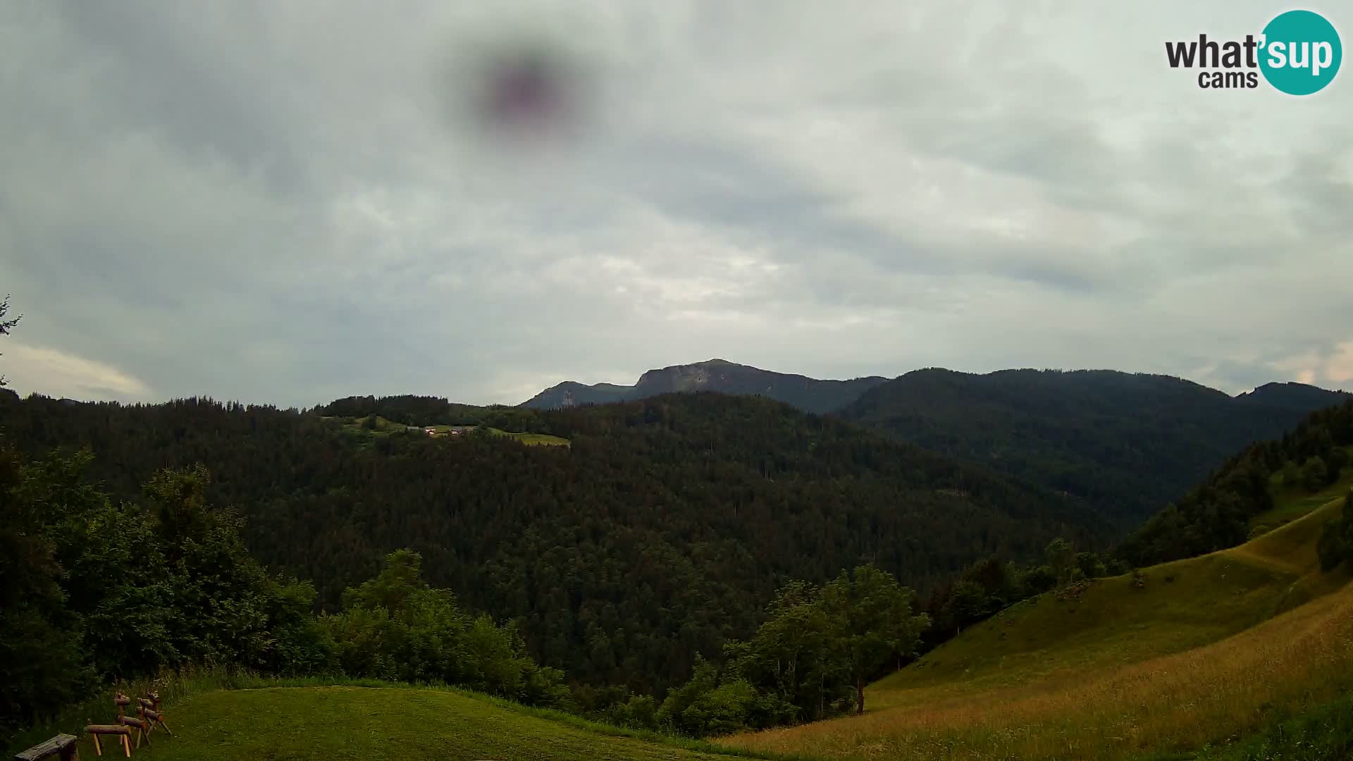 Webcam Brunarica Dražgoše – Live View of Ratitovec (1666 m)