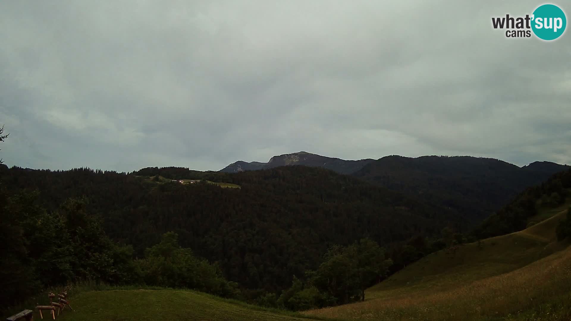 Webcam Brunarica Dražgoše – Live View of Ratitovec (1666 m)