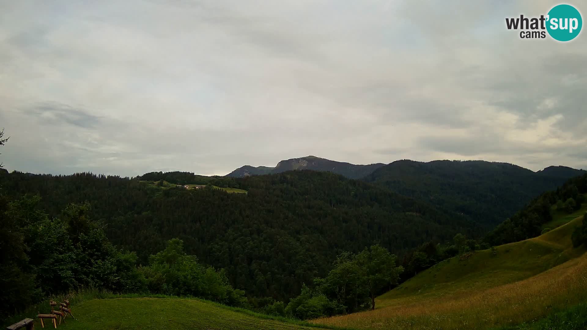 Webcam Brunarica Dražgoše – Live View of Ratitovec (1666 m)